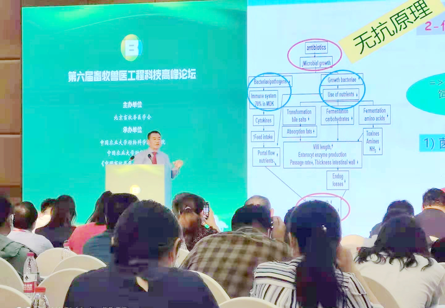 天然植物提取物在無(wú)抗中發(fā)揮哪些優(yōu)勢(shì)？