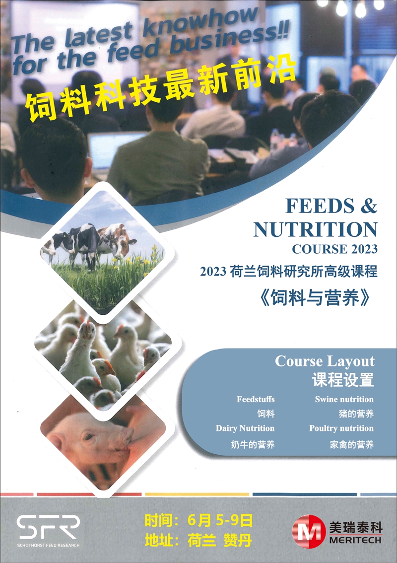 荷蘭學習1_副本.jpg 圖片